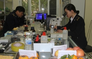 Kết nối chứng nhận kiểm dịch thực vật qua Cơ chế một cửa ASEAN