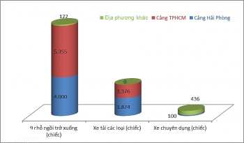 99% ô tô con nhập khẩu về Việt Nam qua cảng Hải Phòng và TPHCM