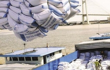 Hải quan tiếp tục có văn bản hướng dẫn thủ tục xuất khẩu gạo nếp