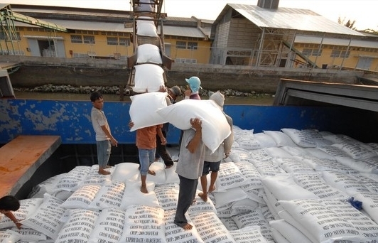 Gạo Việt tăng tốc vào EU