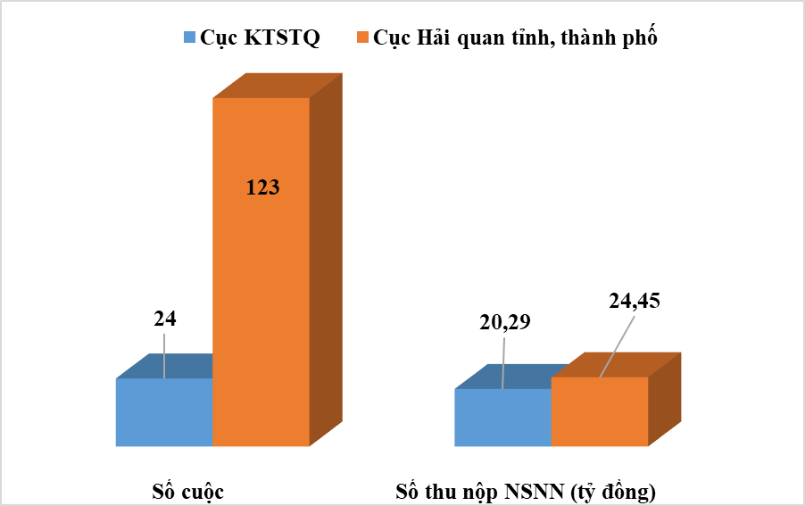 Giao hải quan địa phương kiểm tra sau thông quan 202 doanh nghiệp theo 7 chuyên đề