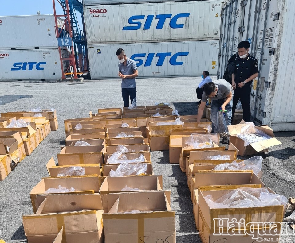 Cận cảnh vụ 350 kg cá ngựa nhập khẩu trái phép tại cảng Hải Phòng