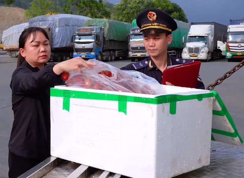 Lào Cai: Kim ngạch xuất khẩu nông sản qua cửa khẩu Kim Thành tăng mạnh