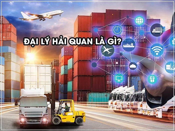 Tạm dừng hoạt động 5 đại lý hải quan và thu hồi 10 mã số nhân viên tại Hải Phòng