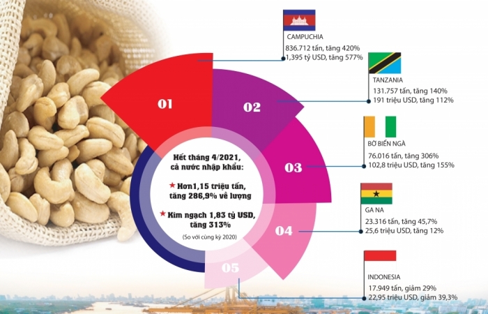 Infographics: Bất ngờ nhập khẩu hạt điều từ Campuchia tăng 420%
