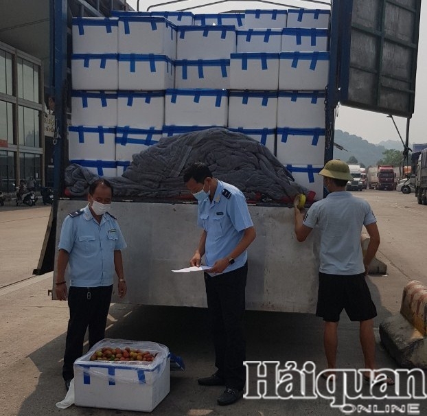 Hình ảnh Hải quan Lào Cai thông quan hơn 7.000 tấn vải thiều Hình ảnh Hải quan Lào Cai thông quan hơn 7.000 tấn vải thiều
