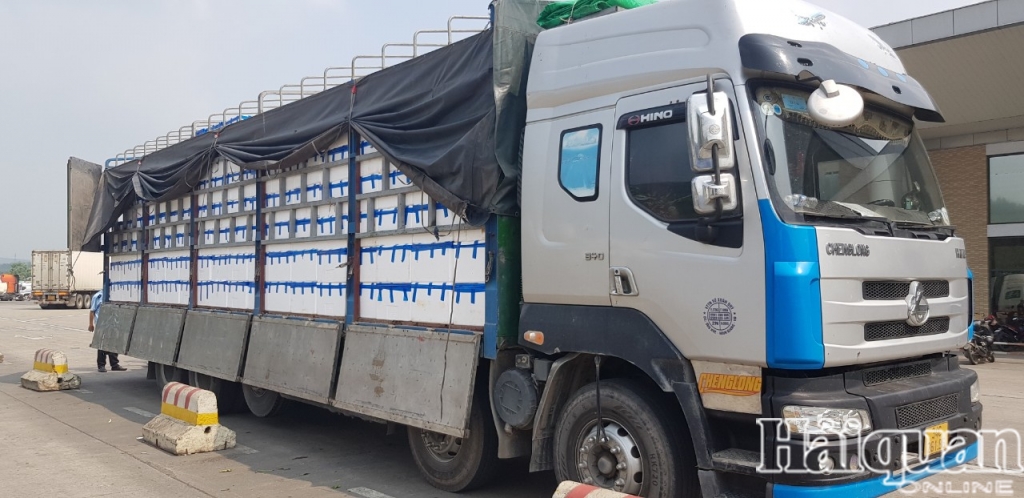 Hình ảnh Hải quan Lào Cai thông quan hơn 7.000 tấn vải thiều Hình ảnh Hải quan Lào Cai thông quan hơn 7.000 tấn vải thiều