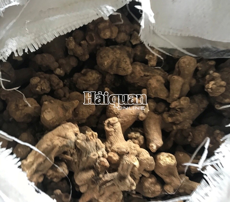 Phát hiện tới 161 loại thảo dược trong 5 container hàng vi phạm tại Đà Nẵng