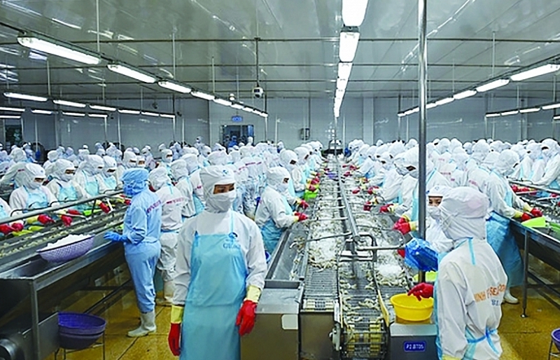 Thủy sản Minh Phú được gia hạn chế độ doanh nghiệp ưu tiên