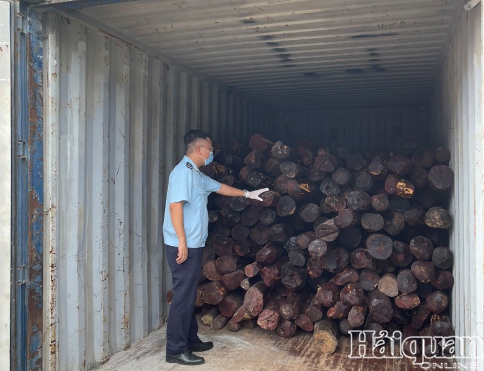 Hình ảnh container gỗ giáng hương trong vụ việc Hải quan Hải Phòng vừa khởi tố