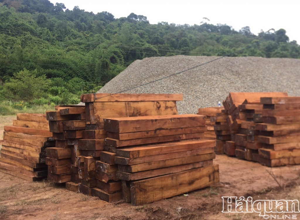 Hình ảnh lô gỗ lậu, đá quý trị giá hàng chục tỷ vừa được bắt giữ tại cửa khẩu La Lay, Quảng Trị
