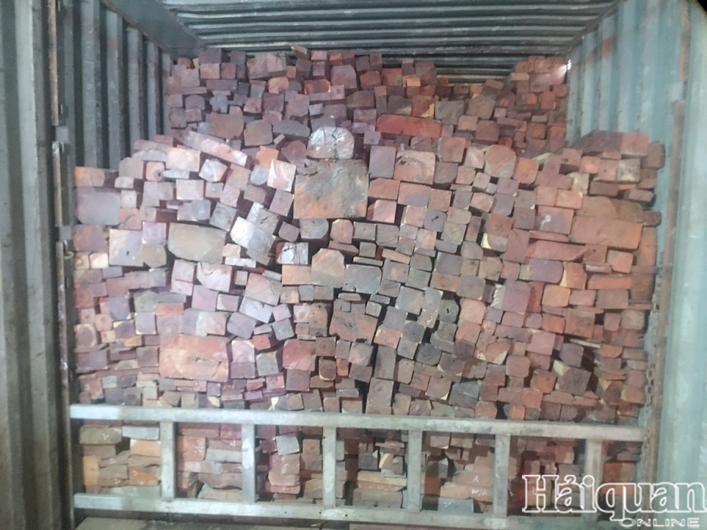 Hình ảnh lô gỗ lậu, đá quý trị giá hàng chục tỷ vừa được bắt giữ tại cửa khẩu La Lay, Quảng Trị