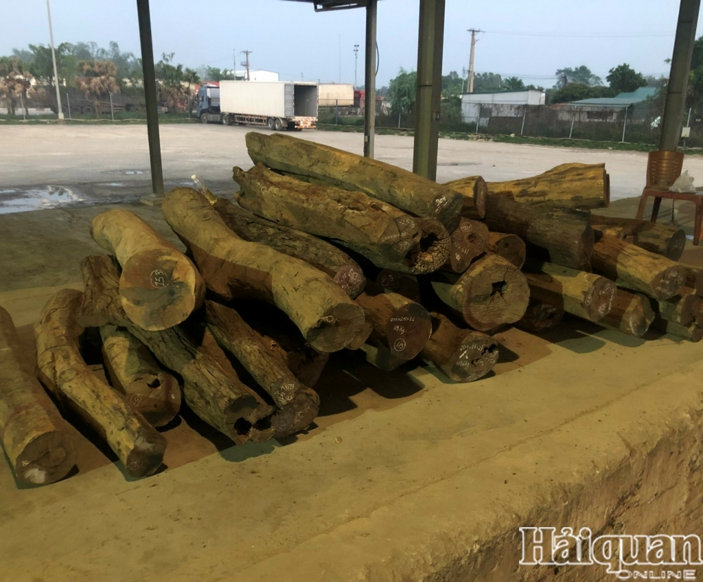 Hình ảnh vụ 28 m3 gỗ quý trong vụ buôn lậu cơ quan Hải quan vừa khởi tố