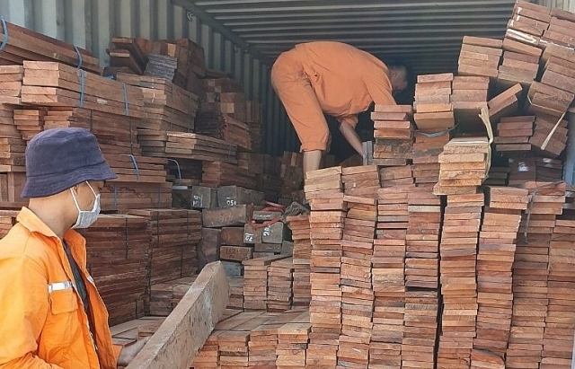 Hải quan Hải Phòng: Bắt 3 container gỗ quý nhập khẩu trái phép