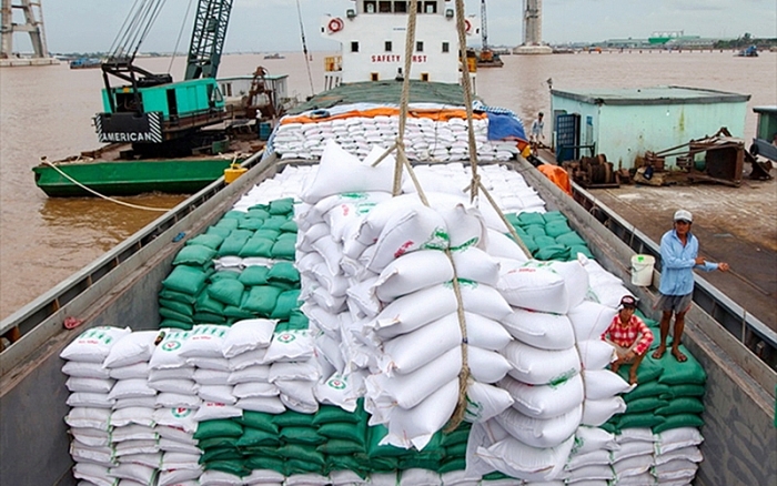 Giá gạo xuất khẩu giảm hơn 8%