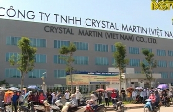 Công ty CRYSTAL MARTIN Việt Nam được công nhận ưu tiên về hải quan