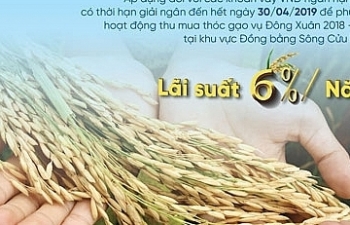 VietinBank cho vay thu mua thóc gạo với lãi suất ưu đãi