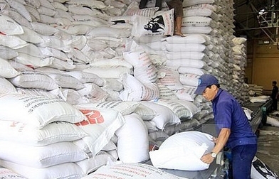 Xuất cấp hơn 989 tấn gạo cho tỉnh Quảng Ngãi