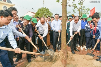 Thủ tướng yêu cầu phát động phong trào “Tết trồng cây” ngay từ đầu năm