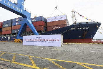 THACO xuất khẩu 30 container chuối trị giá gần 500.000 USD
