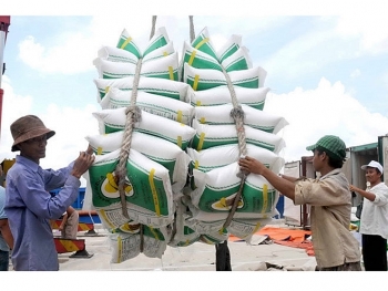 Đề nghị xử lý các thương nhân xuất khẩu gạo không xuất trình đúng, đủ số lượng như đã khai báo