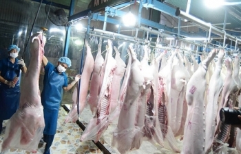 Thịt lợn đắt đỏ, Bộ CôngThương “bác” lý do khâu trung gian