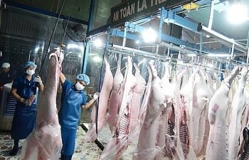 Cấp đông thịt lợn để đảm bảo cung cầu tiêu dùng