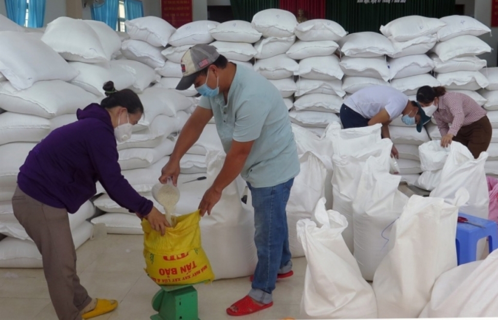 Hỗ trợ 1.396 tấn gạo cho 2 tỉnh trong thời gian giáp hạt