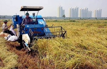 Thủ tướng chỉ thị về đẩy mạnh cơ giới hóa sản xuất nông nghiệp