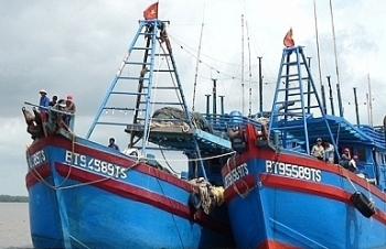 Quy chế hoạt động của Ban chỉ đạo Quốc gia về chống khai thác hải sản bất hợp pháp
