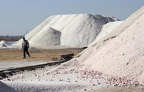 Xúc tiến thương mại, xây dựng nhãn hiệu hàng hóa cho muối xuất khẩu