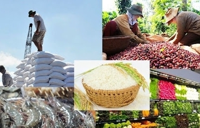 “Bí quyết” xuất khẩu thành công nông sản sang EU