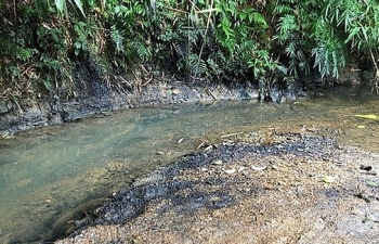 Thủ tướng yêu cầu điều tra nguyên nhân nguồn nước sông Đà ô nhiễm