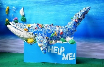 100% khu du lịch biển không sử dụng sản phẩm nhựa dùng 1 lần