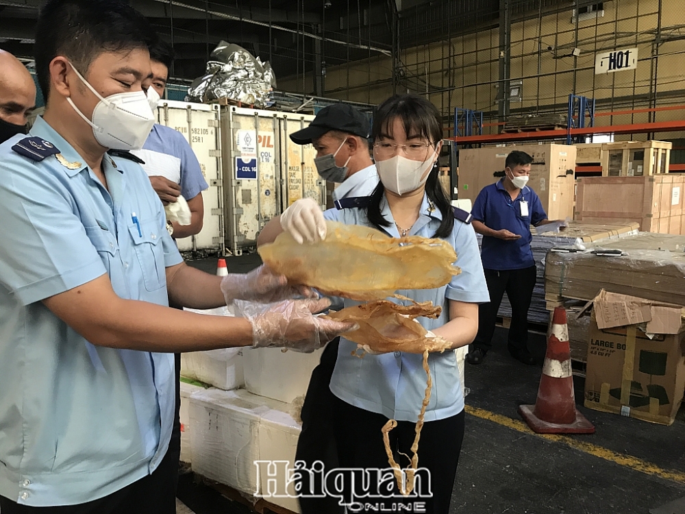 Hình ảnh lô hàng bong bóng cá Totoaba nhập khẩu trái phép tại sân bay Tân Sơn Nhất
