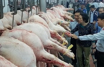 Thị trường thịt lợn khó biến động mạnh về giá