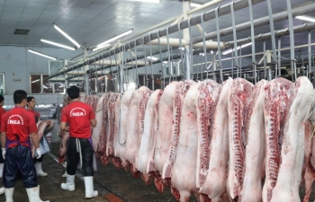 Thiếu 200.000 tấn thịt lợn, 2 Bộ “xắn tay” nhập khẩu ứng phó