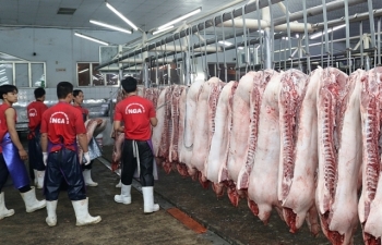 Bị kiểm điểm, Bộ NNPTNT báo cáo khẩn nguồn cung thịt lợn