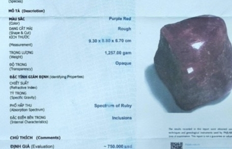 Báo động thực trạng giả mạo giấy kiểm định đá quý của PNJ