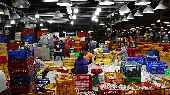 Hoạt động tại chợ đầu mối Bình Điền, TPHCM trong ngày đầu mở cửa trở lại 1/11/2021. Ảnh Lạc Phong