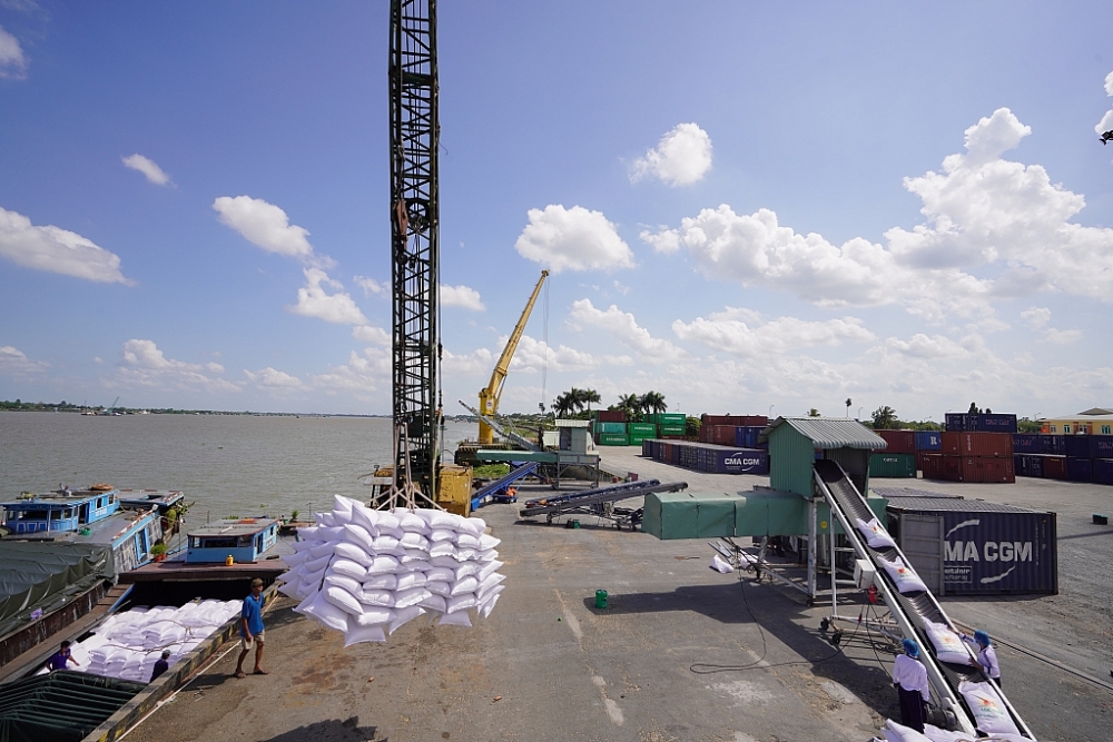 Gao Lộc Trời được vận chuyển từ sà lan lên container tại Tân Cảng Sa Đéc