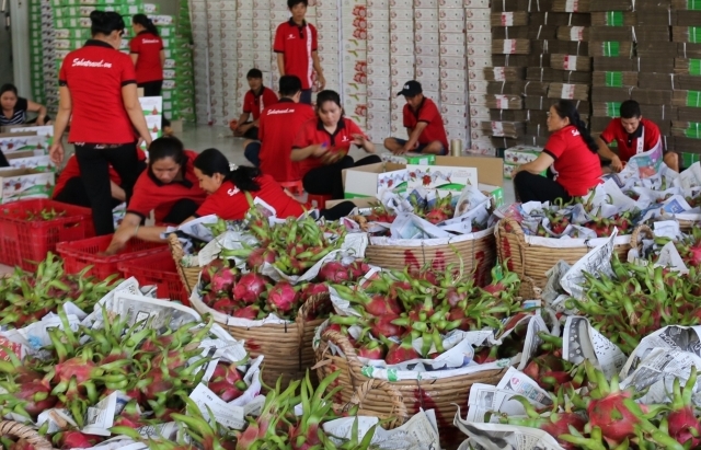 Giá bán lẻ cao gấp 3-5 lần, rau quả Việt làm sao vào Anh?