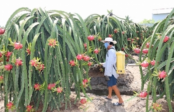 IFC hỗ trợ Việt Nam mở rộng thị trường xuất khẩu nông sản