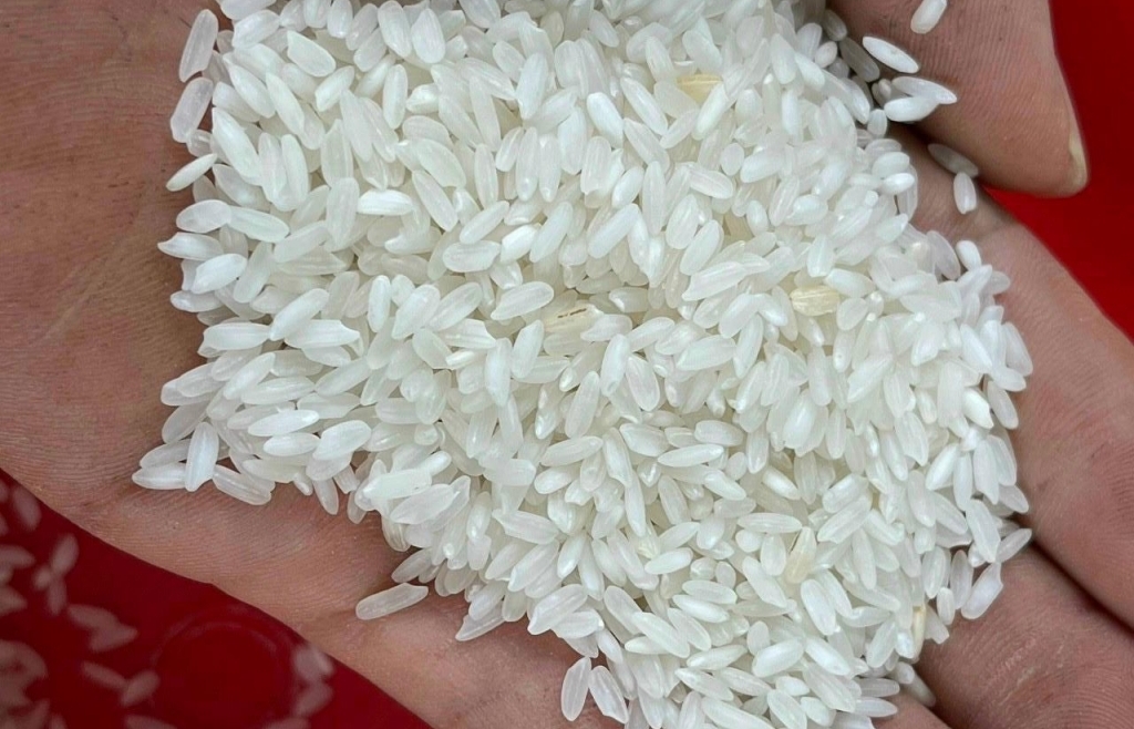 Cảnh báo nguy cơ gạo Việt Nam bị giả mạo xuất xứ