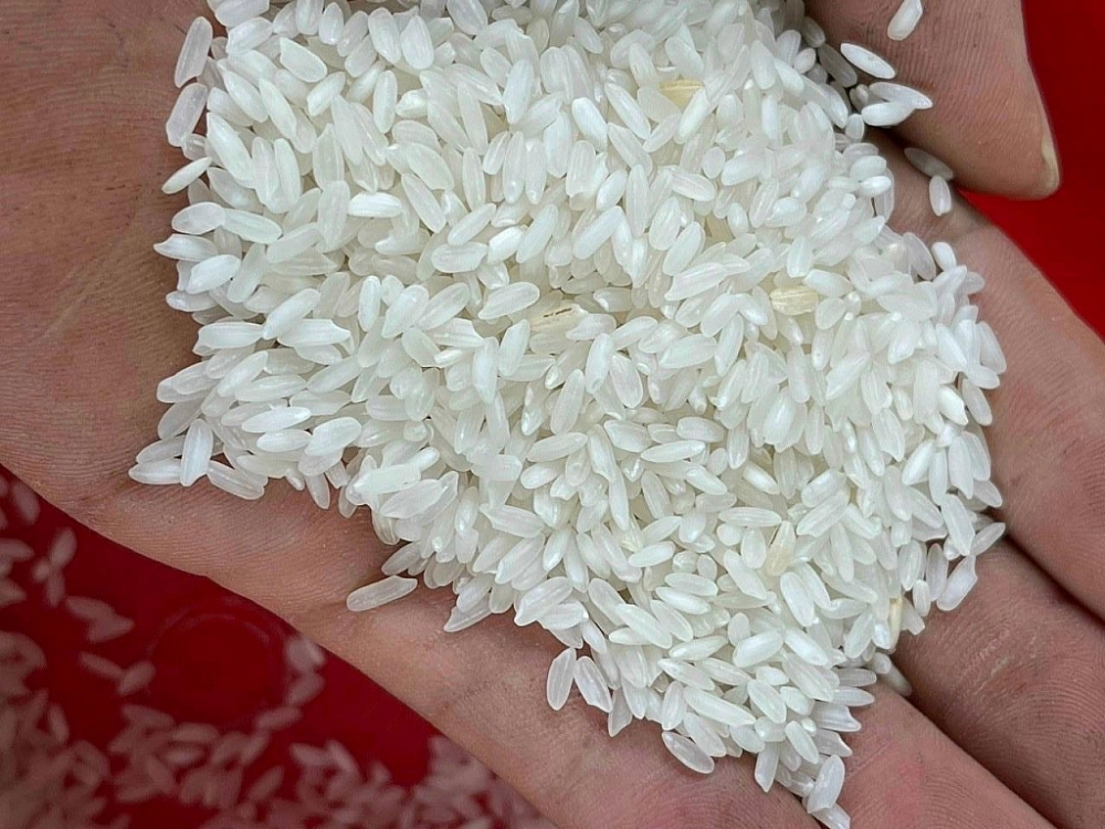 Gạo Ấn Độ có chất lượng thấp hơn so với gạo Việt Nam