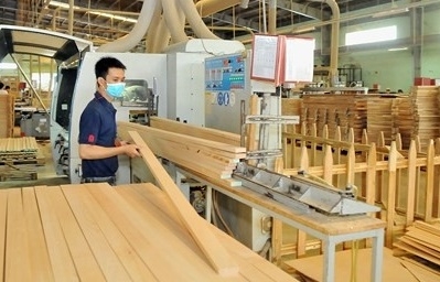 Kiểm soát chặt nguồn gốc gỗ nhập khẩu để bảo vệ ngành gỗ