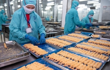 Thị trường EU - “Vùng trú ẩn” của tôm xuất khẩu giữa biến động thuế quan