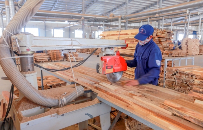 Phân loại thành 2 nhóm doanh nghiệp chế biến và xuất khẩu gỗ