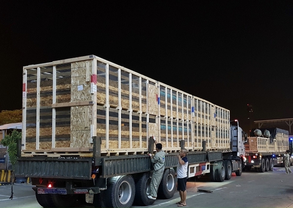 Xe vận chuyển lô lợn giống về trang trại tại Đắk Lắk