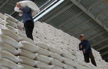 Bộ Công Thương kiến nghị dừng xuất khẩu gạo bằng hạn ngạch từ 1/5